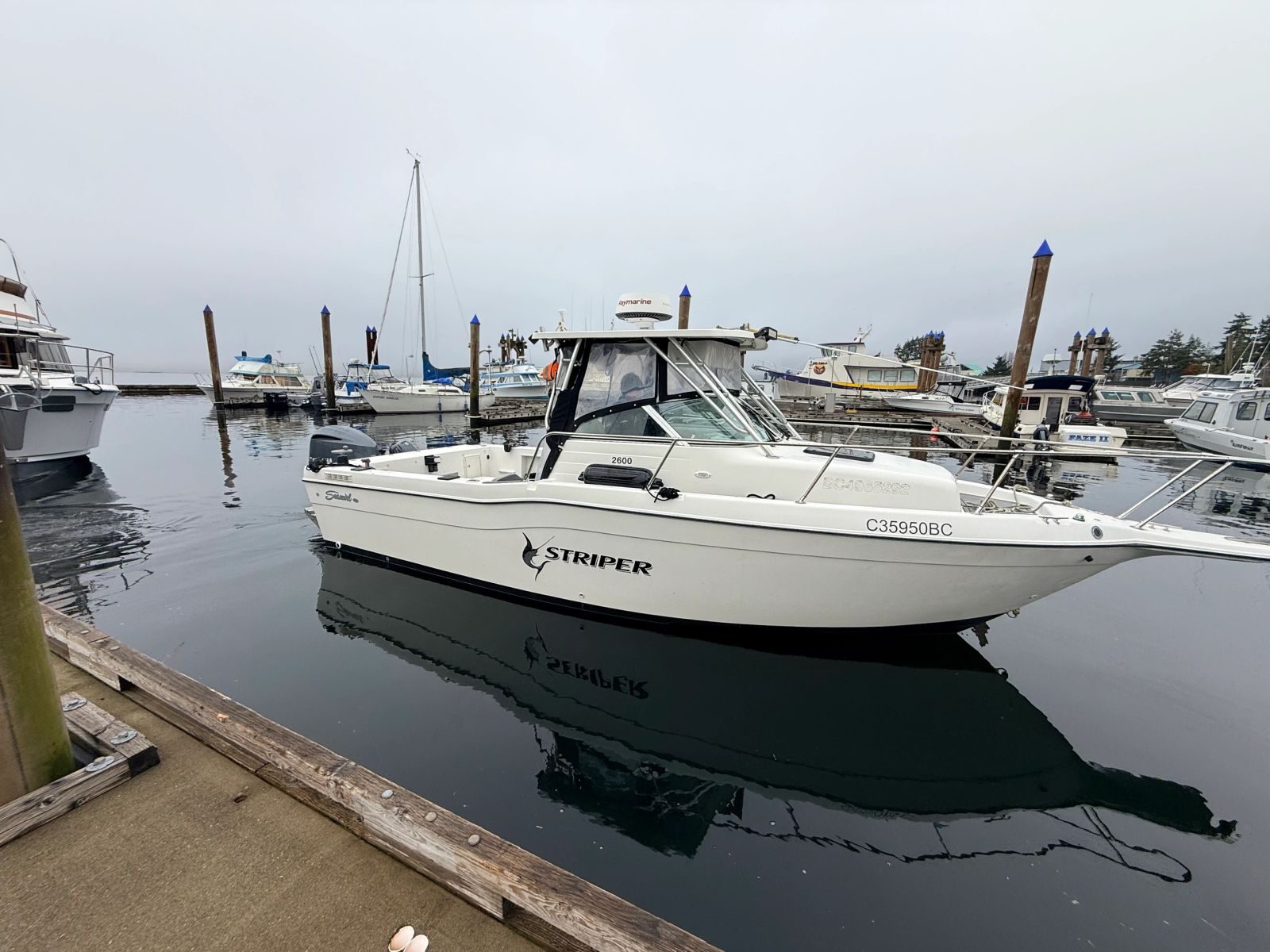 Live Life Coastal Seaswirl Striper fishing boat at the marina